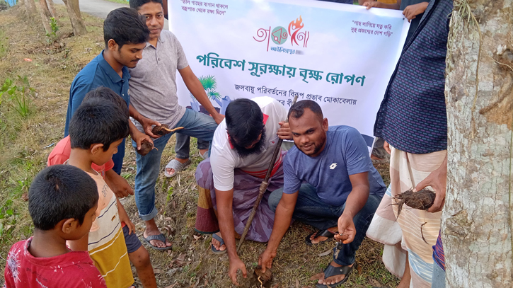 পটুয়াখালীতে বজ্রপাত মোকাবিলায় ৫ শতাধিক তালের বিজ বপন