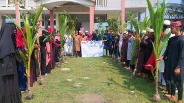 কয়রায় কোডেকের পক্ষ থেকে শিক্ষা প্রতিষ্ঠানে বৃক্ষ রোপণ