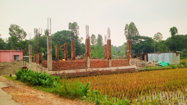 চার বছরে গাইবান্ধা পৌর এলাকার ৩৫০ বিঘা কৃষি জমি বিপন্ন