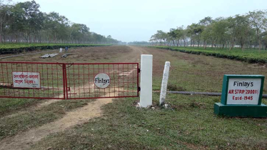 ঐতিহাসিক নিদর্শন শ্রীমঙ্গলের ‘এয়ার স্ট্রিপ’