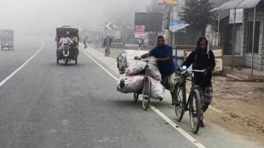 ঘন কুয়াশায় ঢাকা কুড়িগ্রাম, তাপমাত্রা ১৫.৬ ডিগ্রি সেলসিয়াস