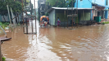 চাঁদপুরে দেশের সর্বোচ্চ বৃষ্টিপাত ২৭৭ মিটার রেকর্ড