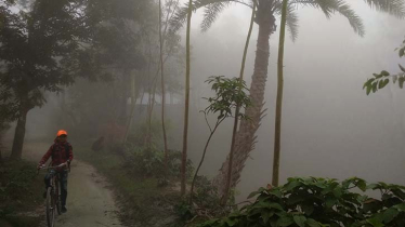 ফুলবাড়ীতে মাঘের তীব্র ঠান্ডা বিরাজমান, তাপমাত্রা ১১ দশমিক ৮ ডিগ্রি