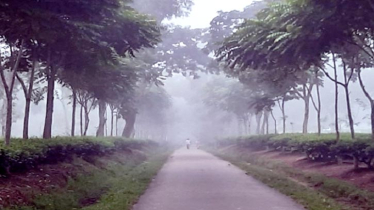 শ্রীমঙ্গলে তাপমাত্রার পারদ ৮ ডিগ্রির ঘরে, দেশের সর্বনিম্ন তাপমাত্রা ৮.৯ ডিগ্রির রেকর্ড