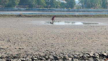 দিনে দুপুরে হামলা চালিয়ে মাছ লুট, থানায় অভিযোগ দিয়েও প্রতিকার পায়নি ভূক্তভোগী