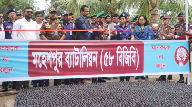 ঝিনাইদহের মহেশপুরে ৩৫ কোটি টাকা মুল্যের মাদকদ্রব্য ধ্বংস