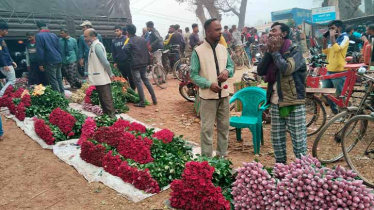 ঝিকরগাছার গদখালীতে জমজমাট ফুলের হাট, গোলাপের বাজার ভালো না!