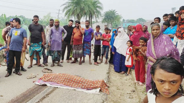 শার্শায় ট্রাকের চাকায় পিস্ট হয়ে ভ্যান চালকের মৃত্যু