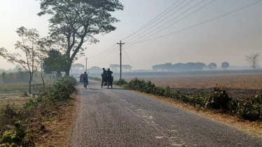 মাঘের শেষে মৃদ্যু শৈত্য প্রাবাহ, শীত জেঁকে দক্ষিন-পশ্চিমের জেলা চুয়াডাঙ্গায়