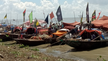 মধ্য রাত থেকে শেষ হচ্ছে ইলিশ ধরার নিষেধাজ্ঞা