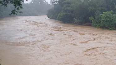 শেরপুরে বন্যা পরিস্থিতির অবনতি, মৃত্যু বেড়ে ৭