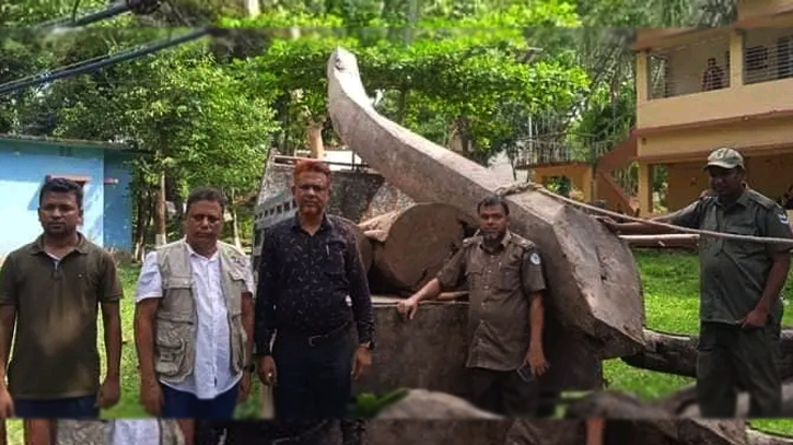 লামায় রিজার্ভের গাছ চোরকে মুচলেকা নিয়ে ছেড়ে দেয়ার অভিযোগ