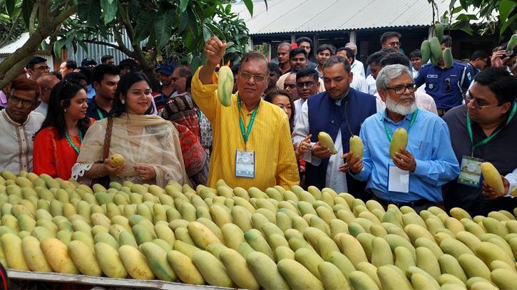 চাঁপাইনবাবগঞ্জের আম বাগান পরিদর্শনে বিভিন্ন দেশের রাষ্ট্রদূতরা