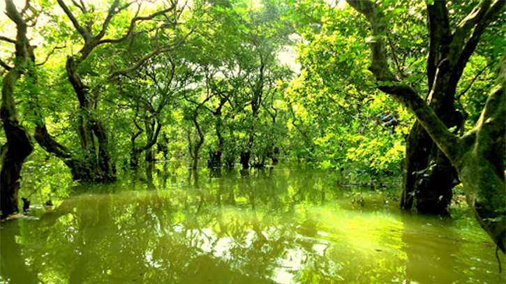 Teenager’s body found in Ratargul swamp forest