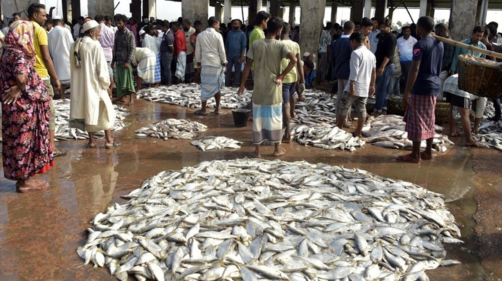 Khulna’s fish export decline by Tk 679 crore