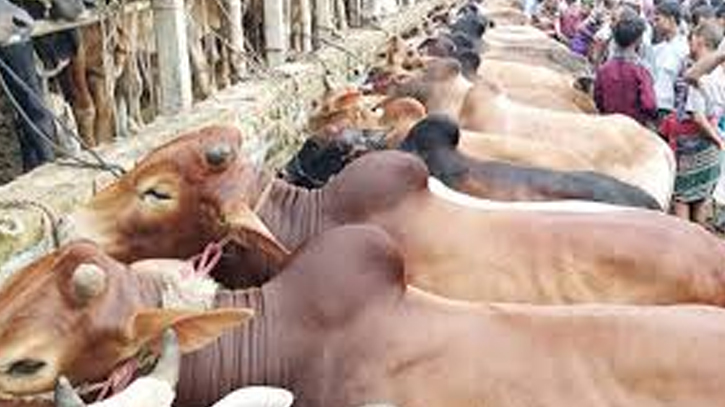 Eid-ul-Azha: Over 1.04 crore animals sacrificed this year