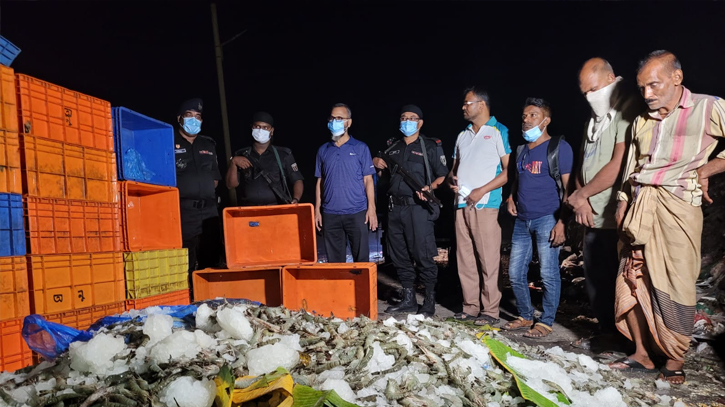 360-kg chemical-mixed shrimp destroyed in Khulna