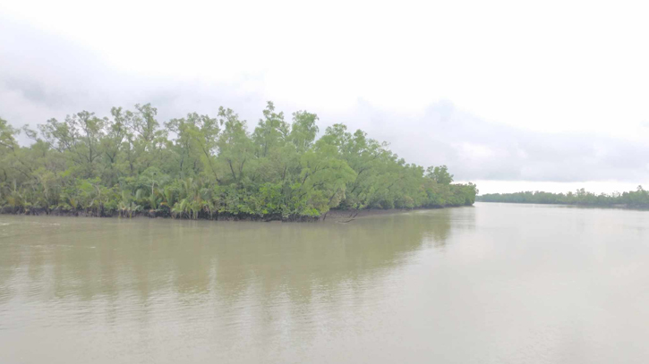 Sundarbans set to reopen Sunday after 3-month closure