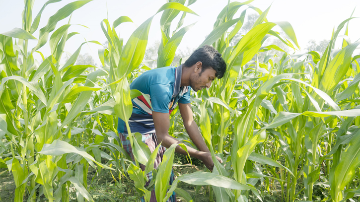 SCB and Friendship to empower 2,500 char-based farmers 