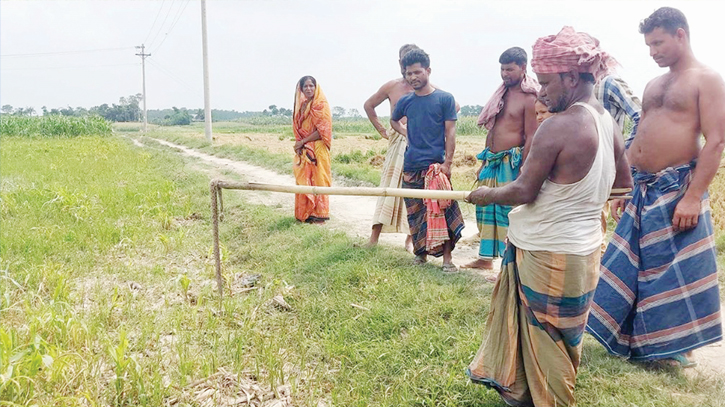 Poisonous Russell’s Viper poses threat to farmers