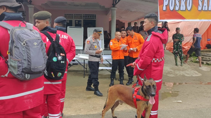 11 dead in Indonesian landslide triggered by heavy rain