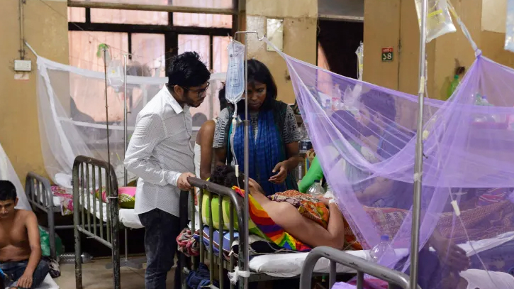 3 more died, 228 hospitalised in a day : Dengue