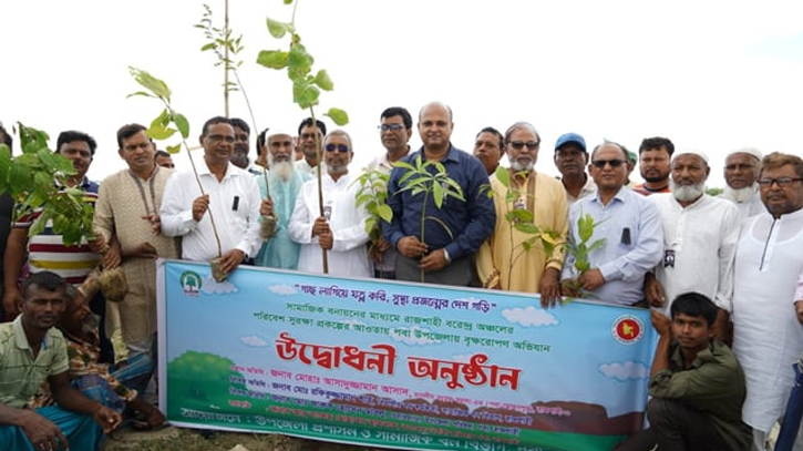 Social afforestation delights people immensely in Rajshahi