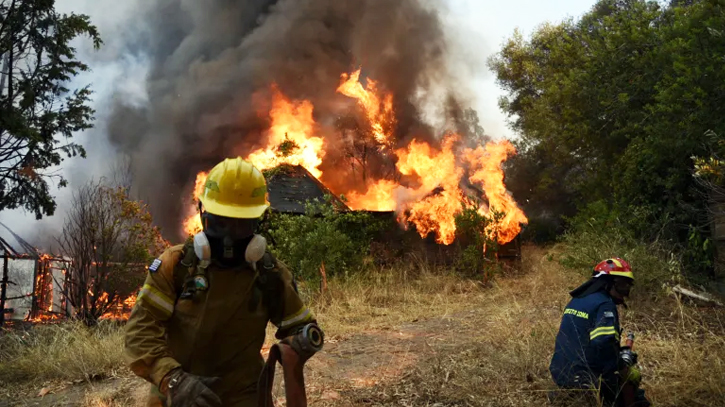 Five dead, dozens hurt in wildfires in southeastern Turkey