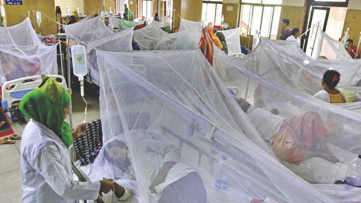 Dengue: 42 patients hospitalised in 24hrs