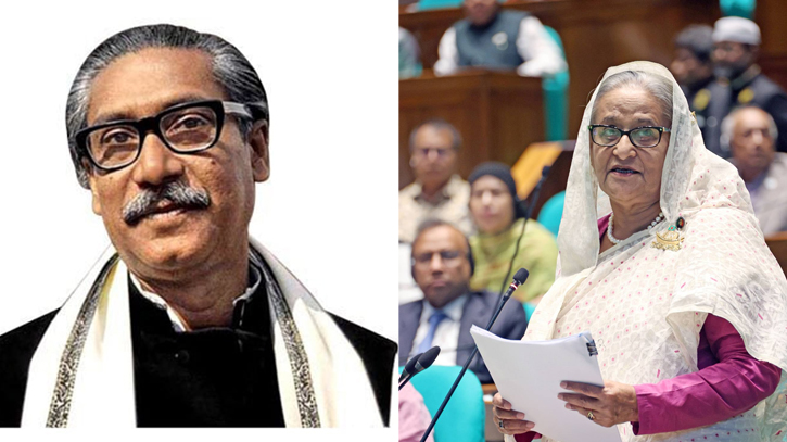 11 sued for derogatory remarks against Bangabandhu, PM Hasina