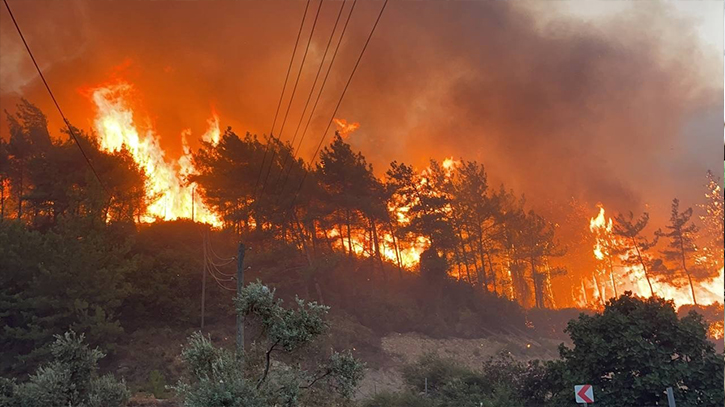 Southeastern Turkey wildfire death toll rises to 11