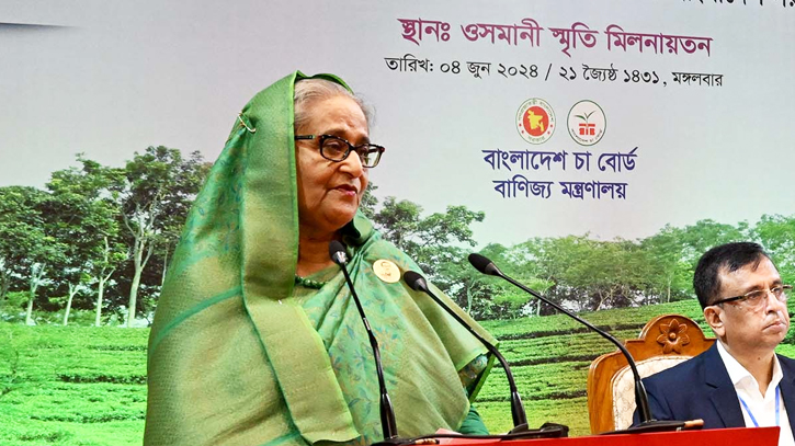 Grow more diversified, aromatic tea: PM