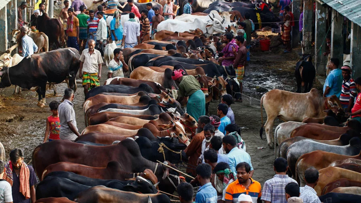 4407 cattle markets to be set up in country: HM