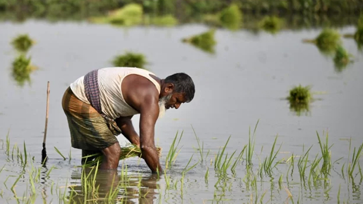 Govt provides 16,067 machineries to farmers in Khulna region