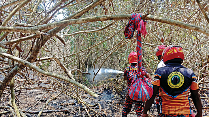 Sundarbans fire completely extinguished