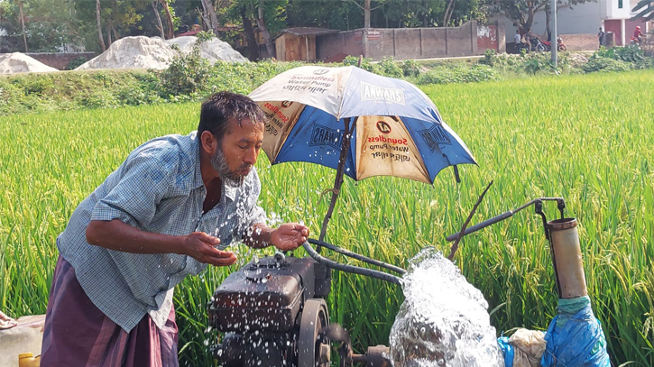 Severe heat wave sweeps Chuadanga, Pabna