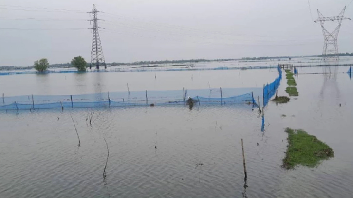 Remal devastates shrimp and fish farms in Bagerhat