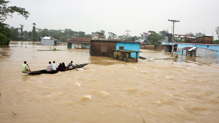 Poultry farmers suffer Tk 800cr loss due to floods