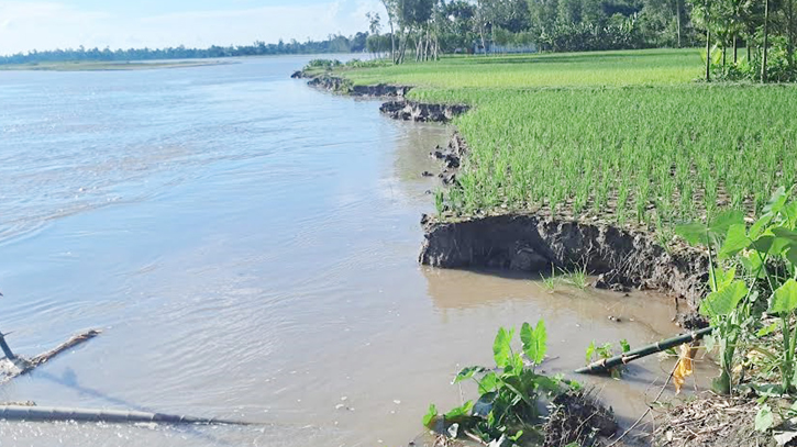 Flood situation improves in Kurigram, residents fear erosion