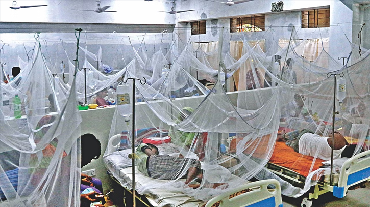42 dengue patients hospitalised