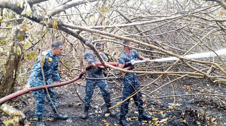 Sundarbans still burning