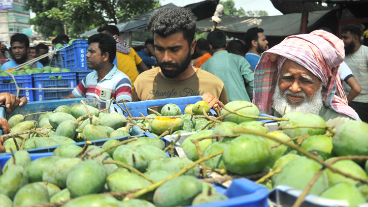 Gopalbhog in the market