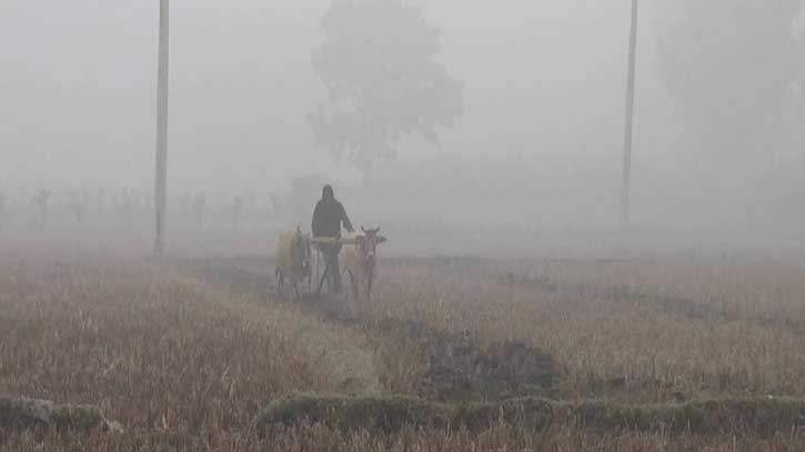 Biting cold batters Panchagarh, stikes poor most