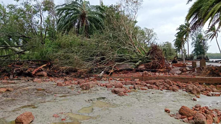 Sundarbans devastated