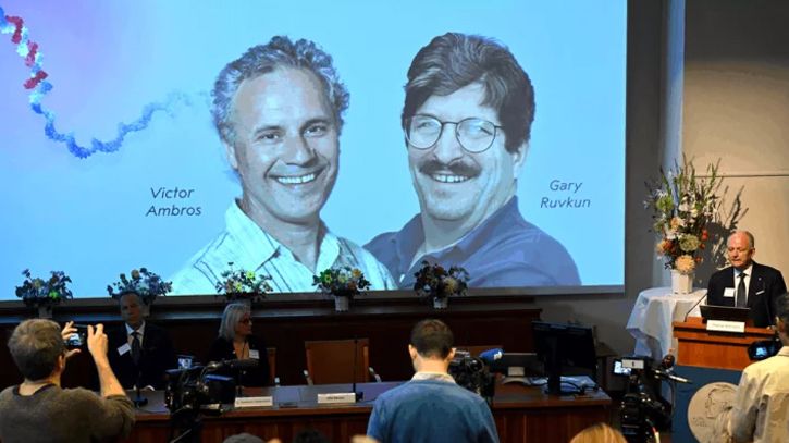 US duo win Nobel for gene regulation breakthrough