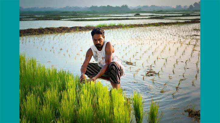 1.34 lakh flood-affected farmers receiving Agri Ministry’s incentives thru bKash