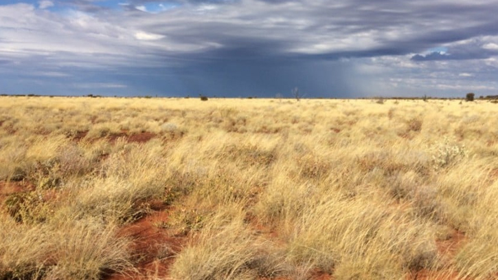 Research highlights Australia’s carbon credit ’catastrophe’