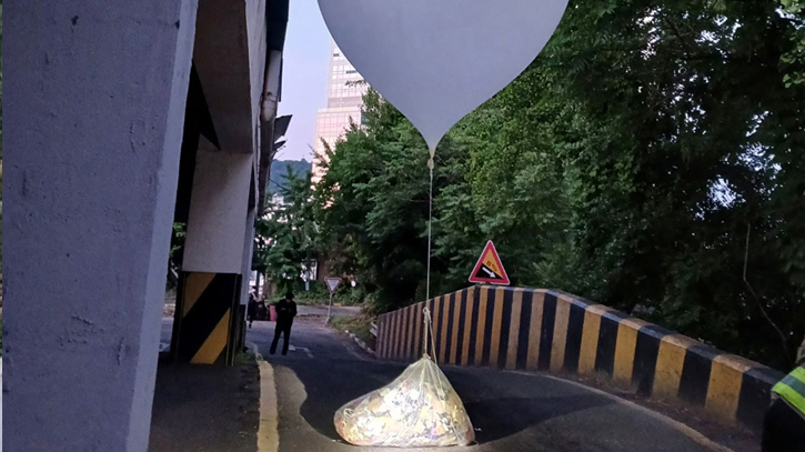 Seoul detects parasites in balloons sent by North Korea