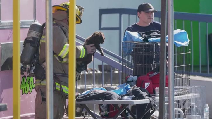 Hundreds of animals killed in Dallas shopping center fire