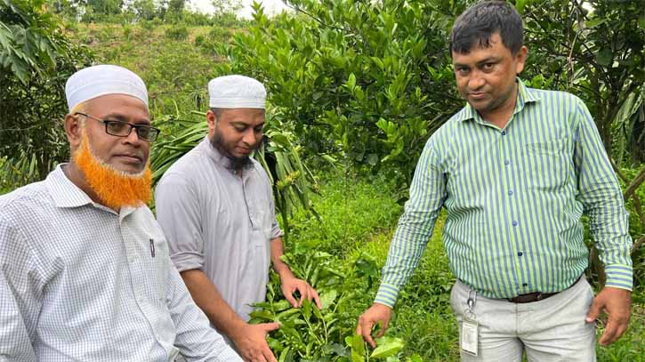 Former banker turns coffee farmer, paves way for local production